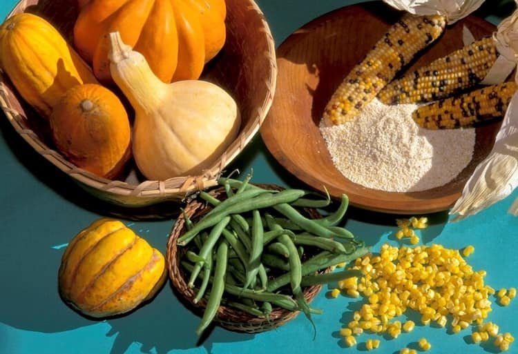 Traditional Canadian Aboriginal Food