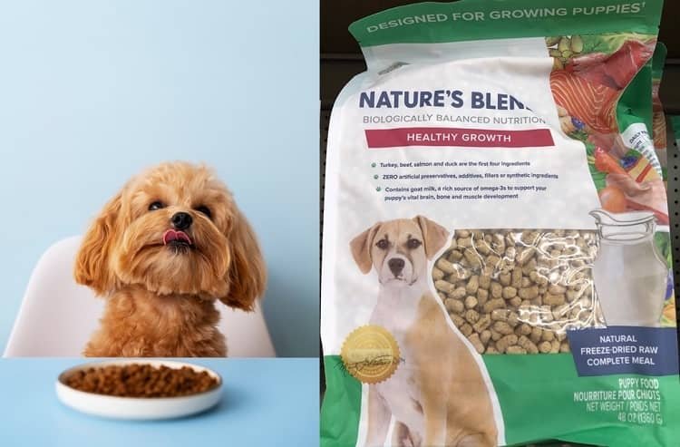 🐕 Dr Marty Dog Food Canada – Nutrition, Benefits & Where to Buy