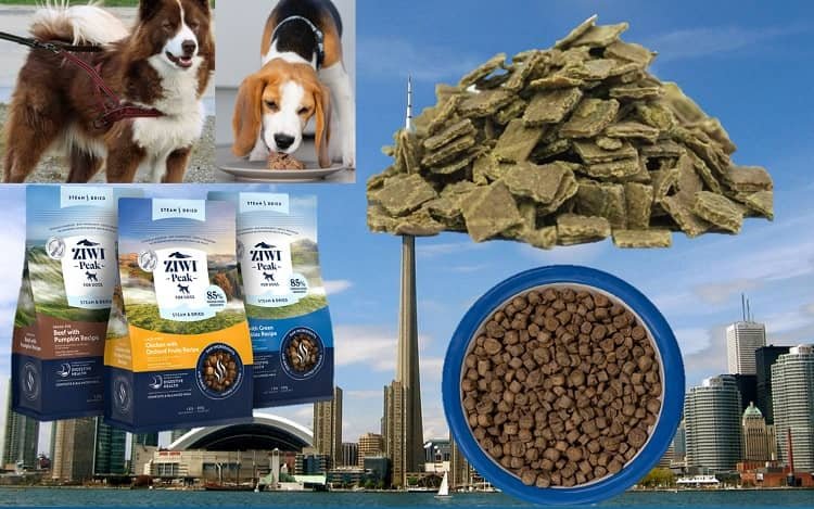 ZiwiPeak Dog Food Canada: A Complete Guide for Pet Owners