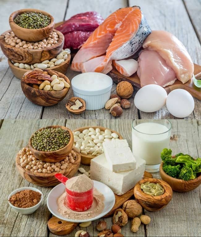 High Protein Foods Good for Weight Loss